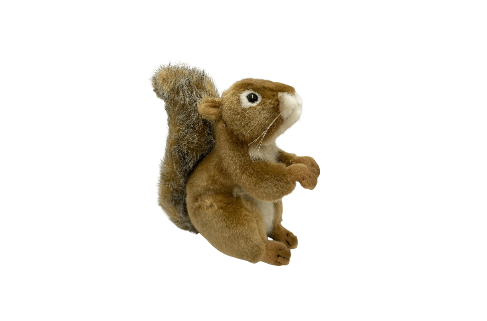 Squirrel Soft Toy Wild Ireland Wildlife Park