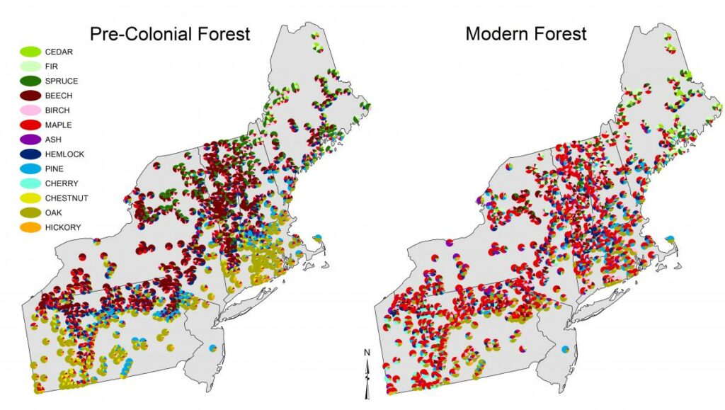 The Science of LandUse Change in New England Wildlands & Woodlands