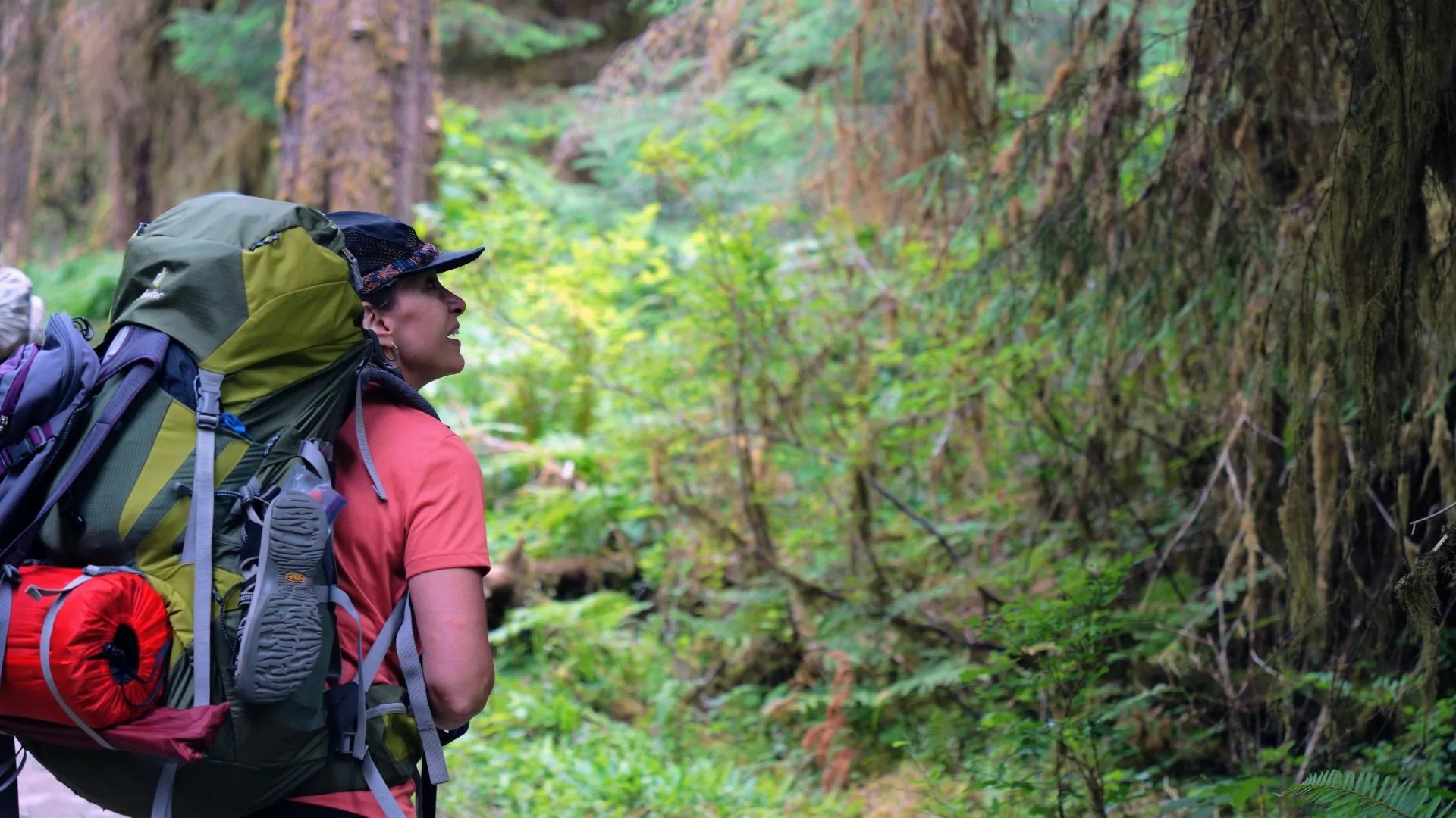 How to Build a Career in the Outdoor Industry Wildland Trekking