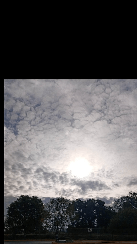 Onlyfans free content jasmyn2juiicy - WildLeaked