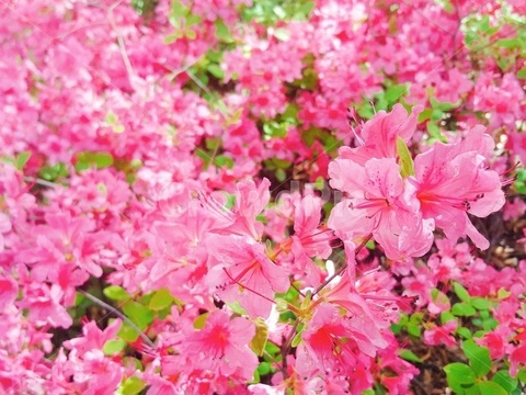 katienoel3 (Katie Noel) free OnlyFans Leaks - WildLeaked