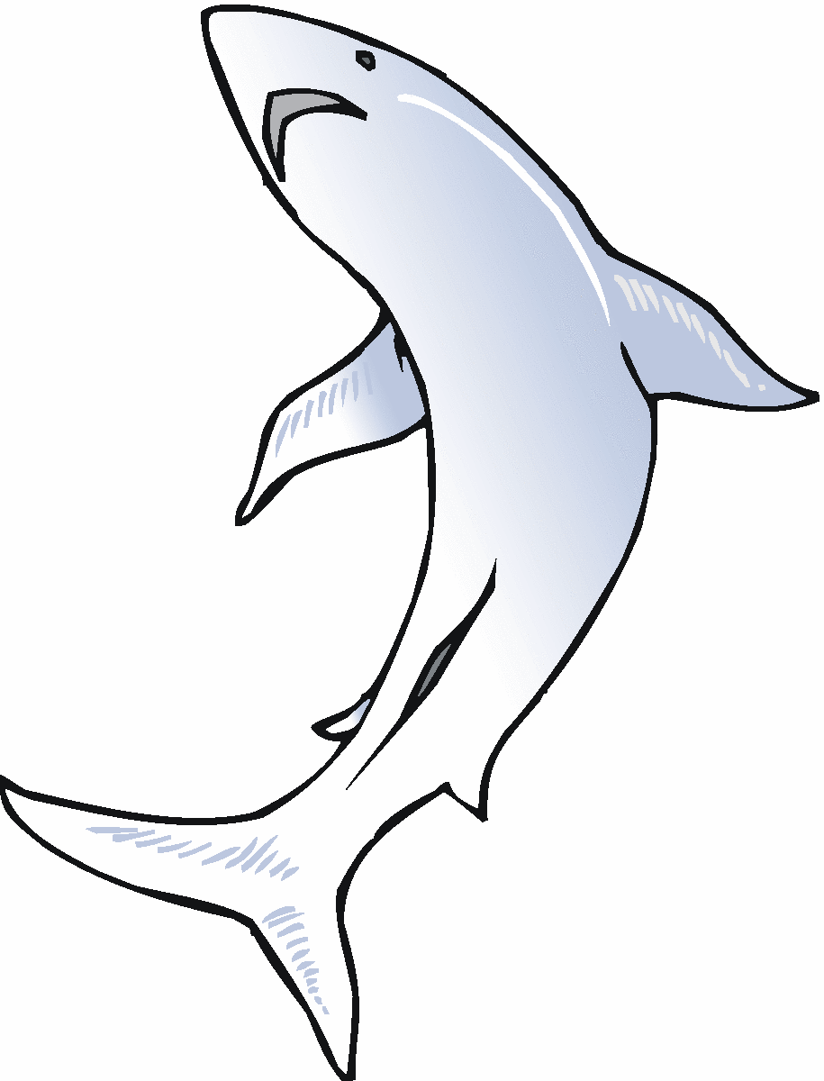 Free Shark Clipart