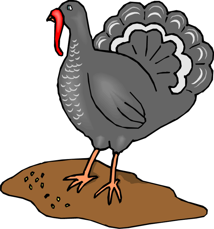 Turkey Waddle Clip Art Cliparts