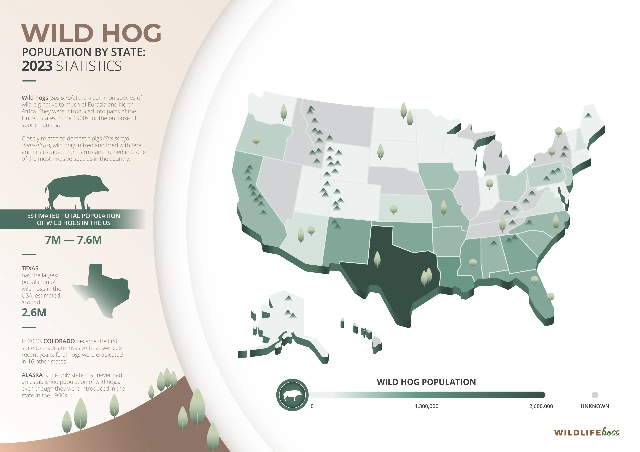 Wild Hog Population By State 2023 Trends [Statistics]
