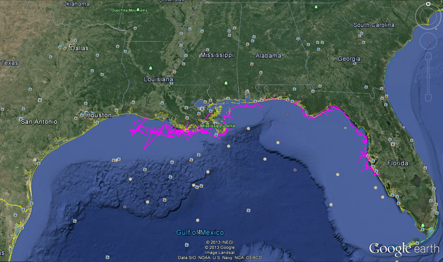 Argos Wildlife Computers