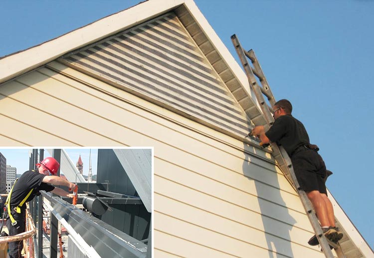 Garrett, Indiana Wildlife Removal Near Me Wildlife Control Fort Wayne