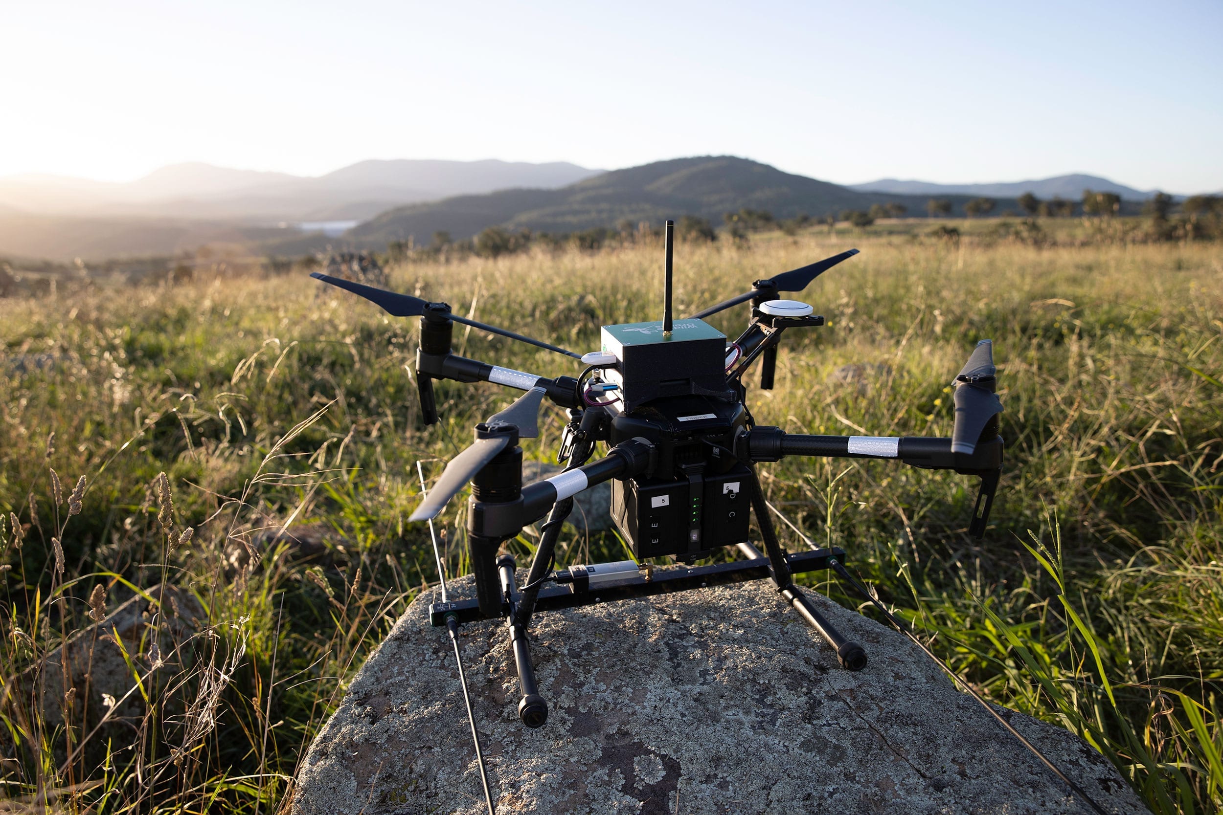 Radiotracking Learn how dronebased wildlife telemetry works