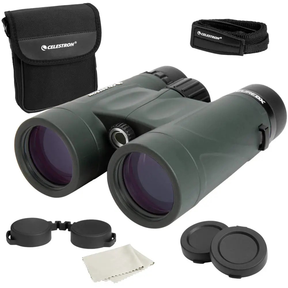 What is the Best Binoculars for Birdwatching for Adults Top 5 Picks