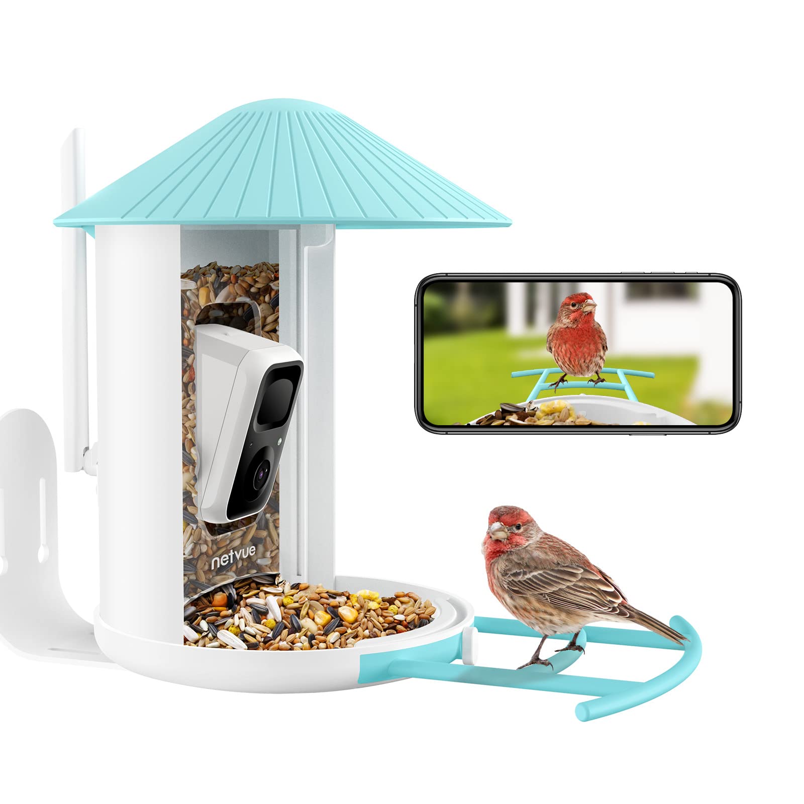 Best Bird Feeder with Camera Top Picks for 2023 WildLifeFAQ