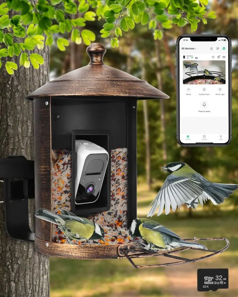 Best Bird Feeder with Camera Top Picks for 2023 WildLifeFAQ