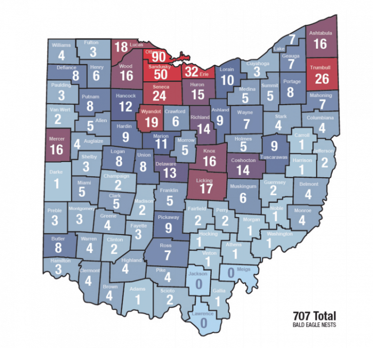 Ohio has 707 bald eagle nests throughout the state: See how.