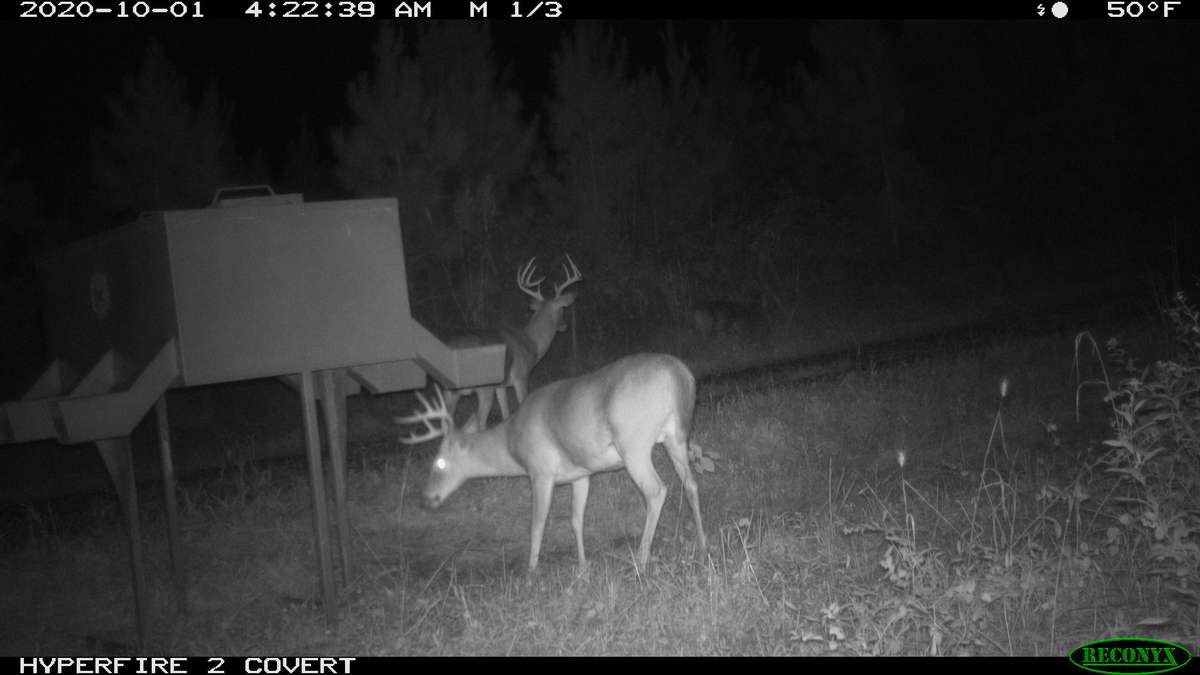 Livingston County Kentucky Property