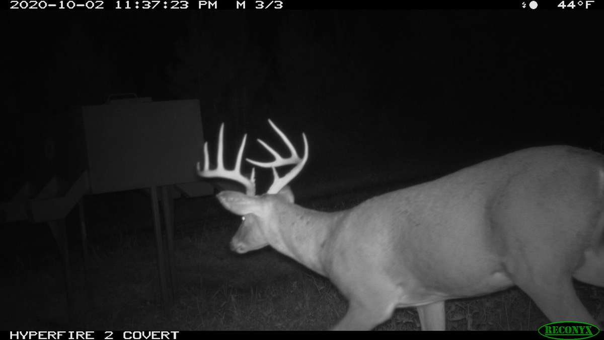 Livingston County Kentucky Property