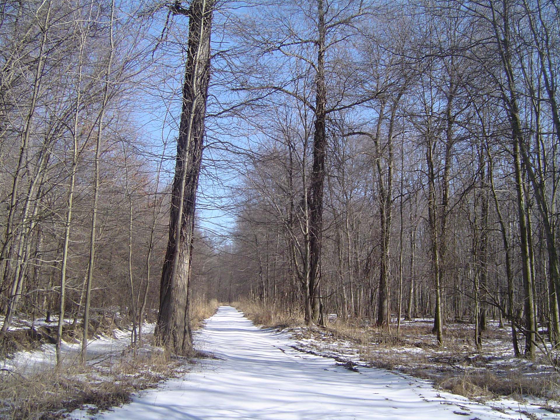 Great Piece Meadows Wildlife Preserves