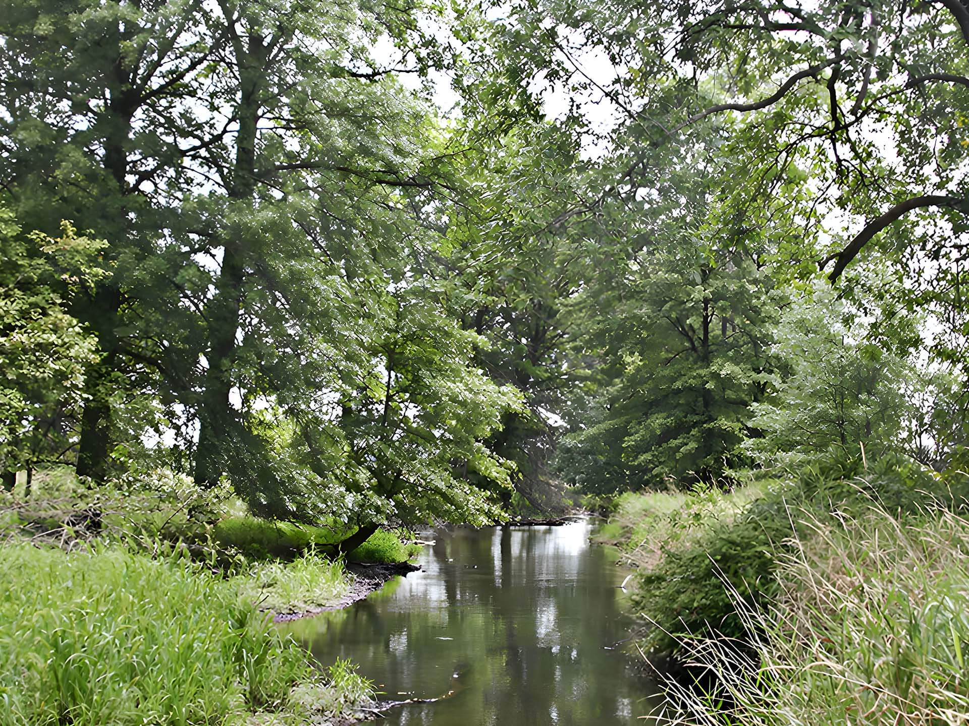 Troy Meadows Wildlife Preserves