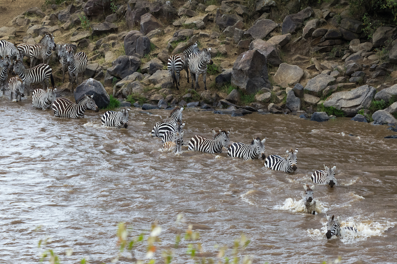 10 Places Where Zebras Live in the Wild (with Photos) WildlifeTrip