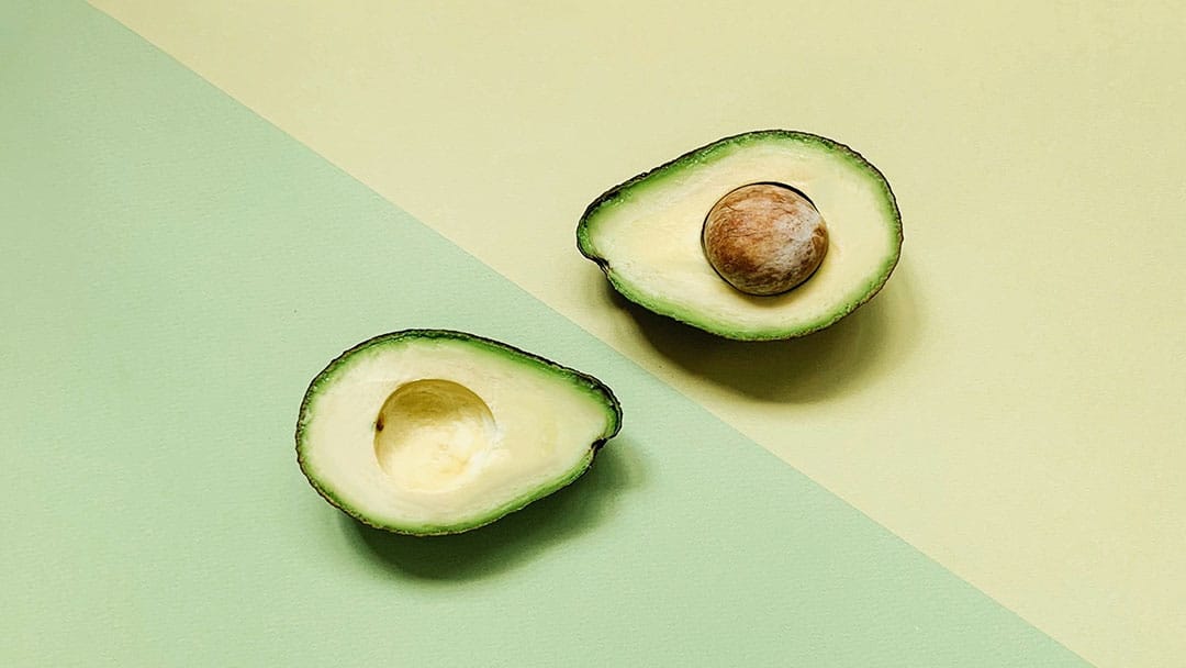 Can You Eat Avocados on a Carnivore Diet? Why & Why Not? Wild Lumens