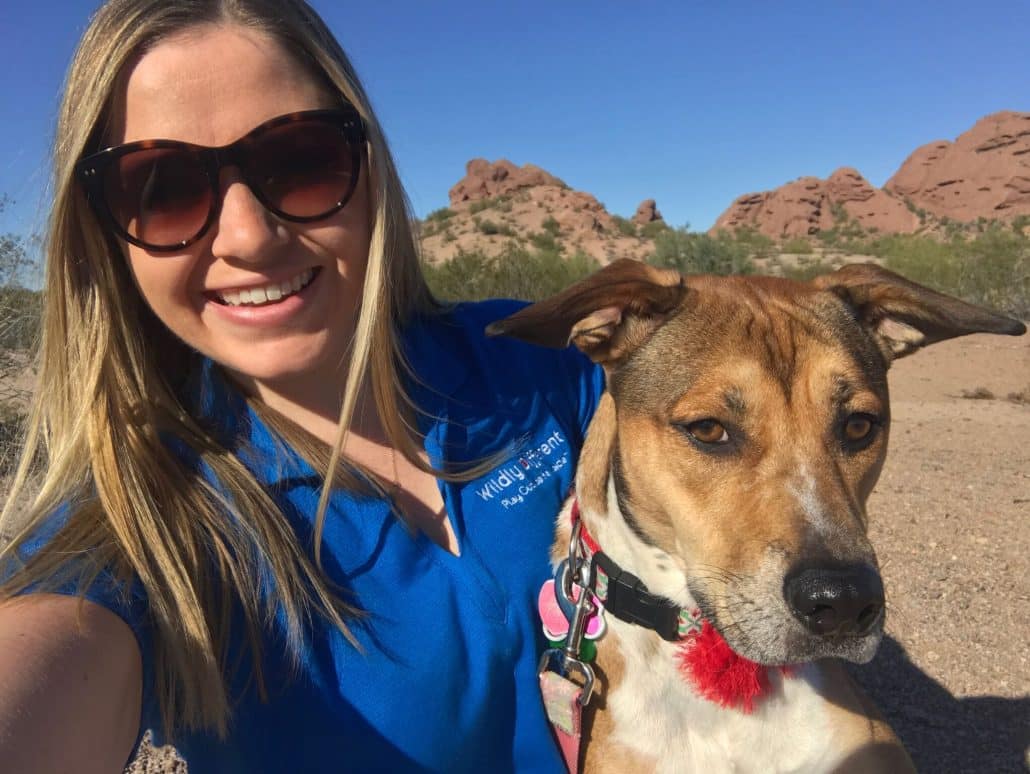 Team Building Activities Phoenix Team Building In Scottsdale Wildly