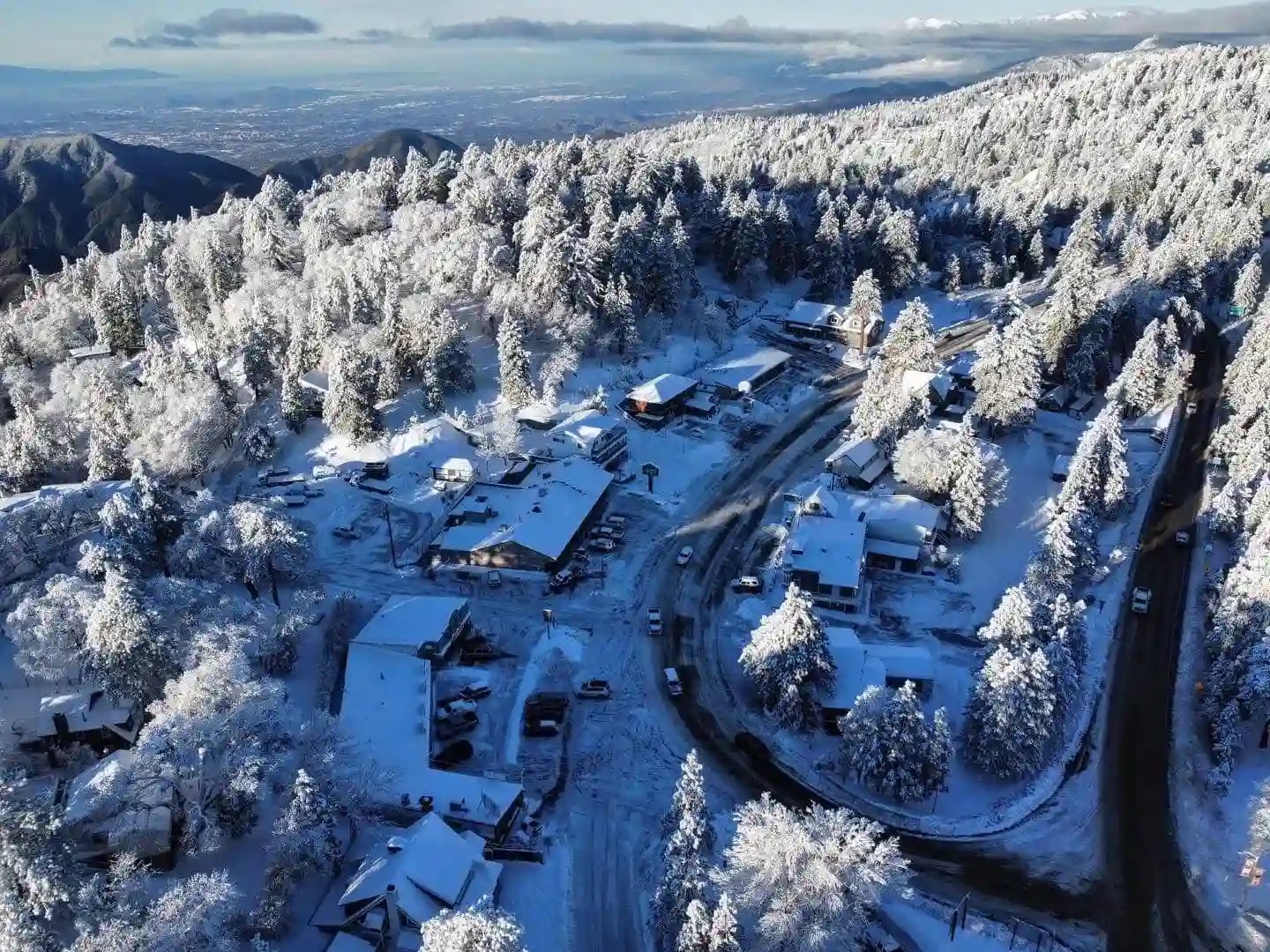 Wild Olive Attractions Things to Do in Running Springs, CA