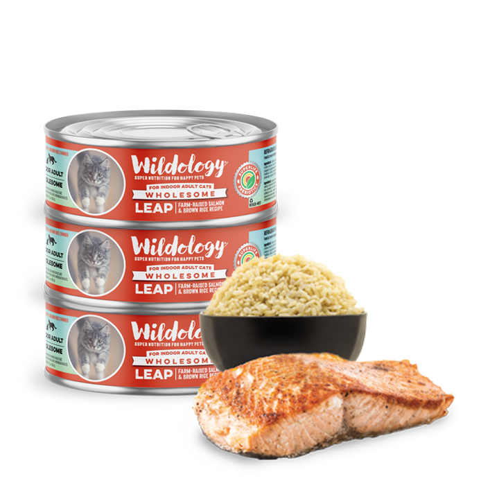 LEAP Super Premium Canned Cat Food Wildology