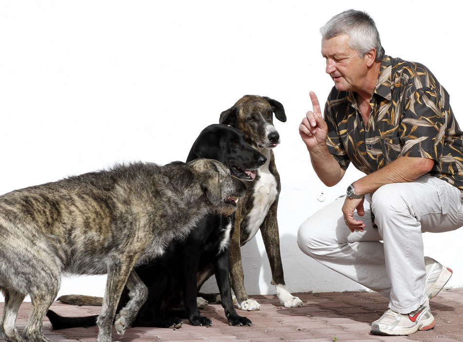 Kommunikation zwischen Mensch und Hund
