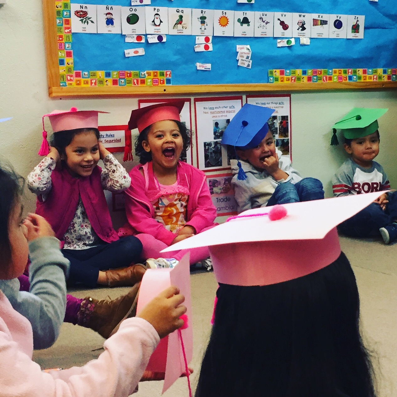 Gallery Wild Plum Center