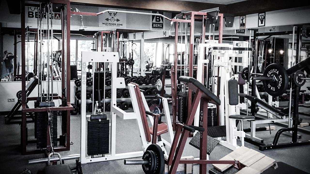 Old School Gym, FitnessStudio, WiesthalKrommenthal Wild Power Zone