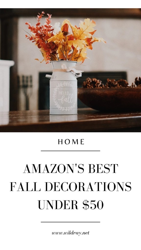 Best Amazon Fall decorations under 50 WILD RAY