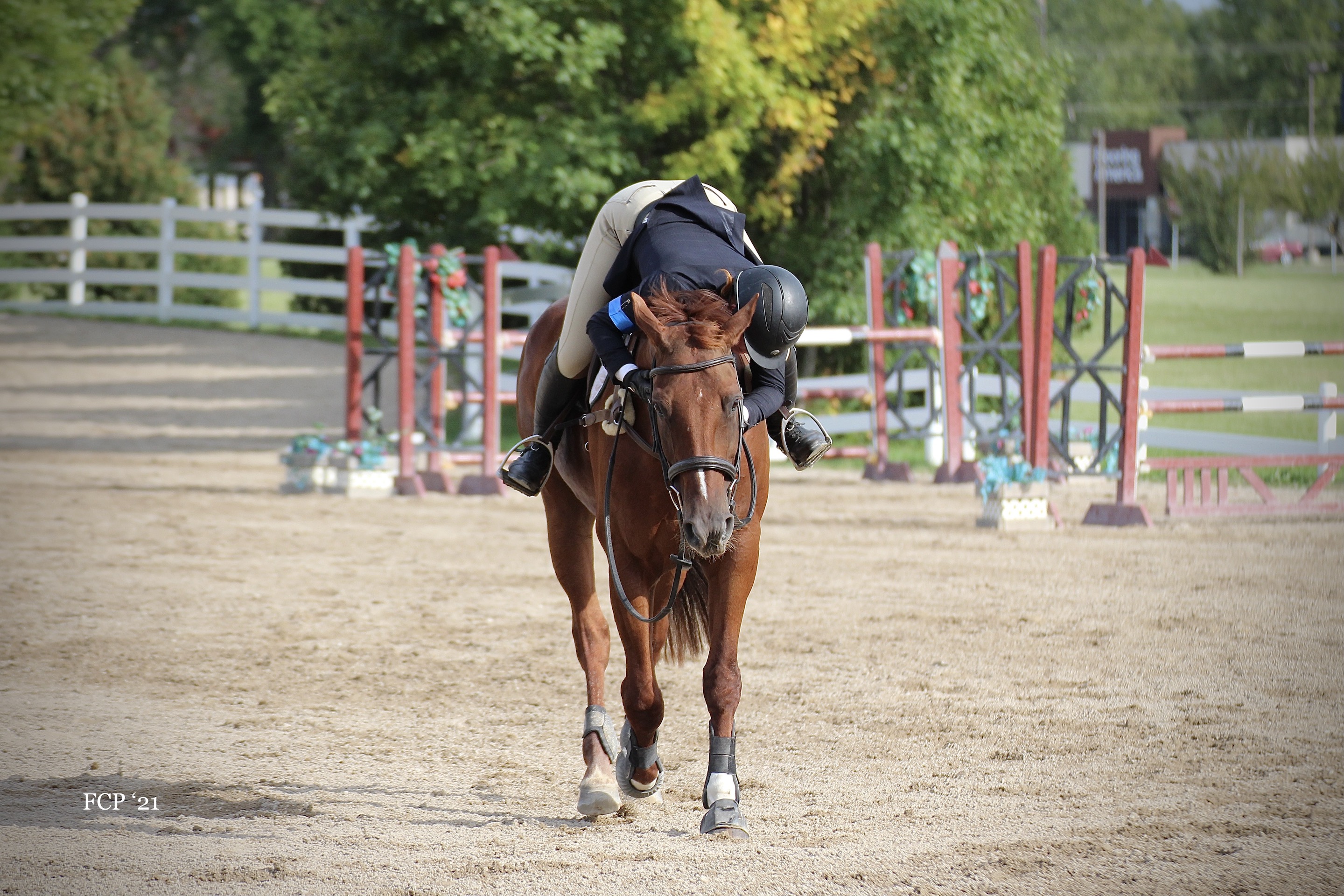 Home Wild Rose Stables