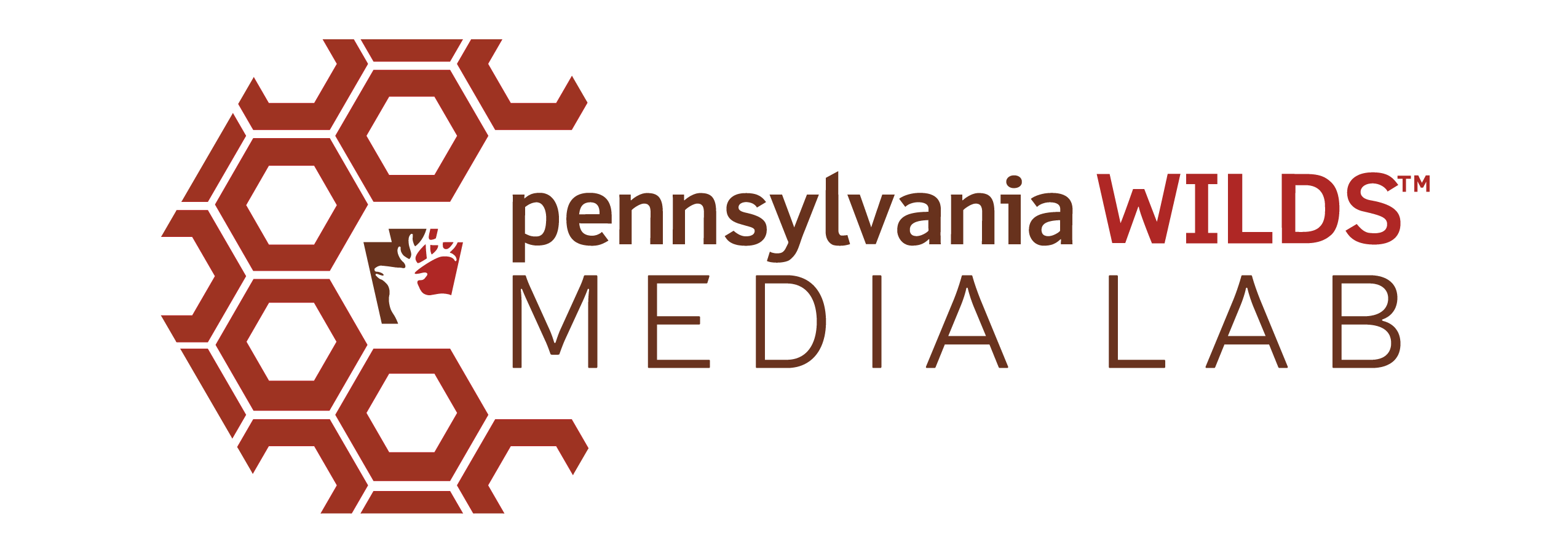Media Lab Wilds Cooperative of Pennsylvania