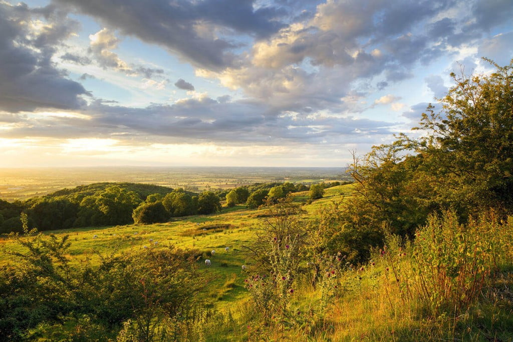 Hedgerow restoration in Bisley, Stroud, Gloucestershire Wild Service