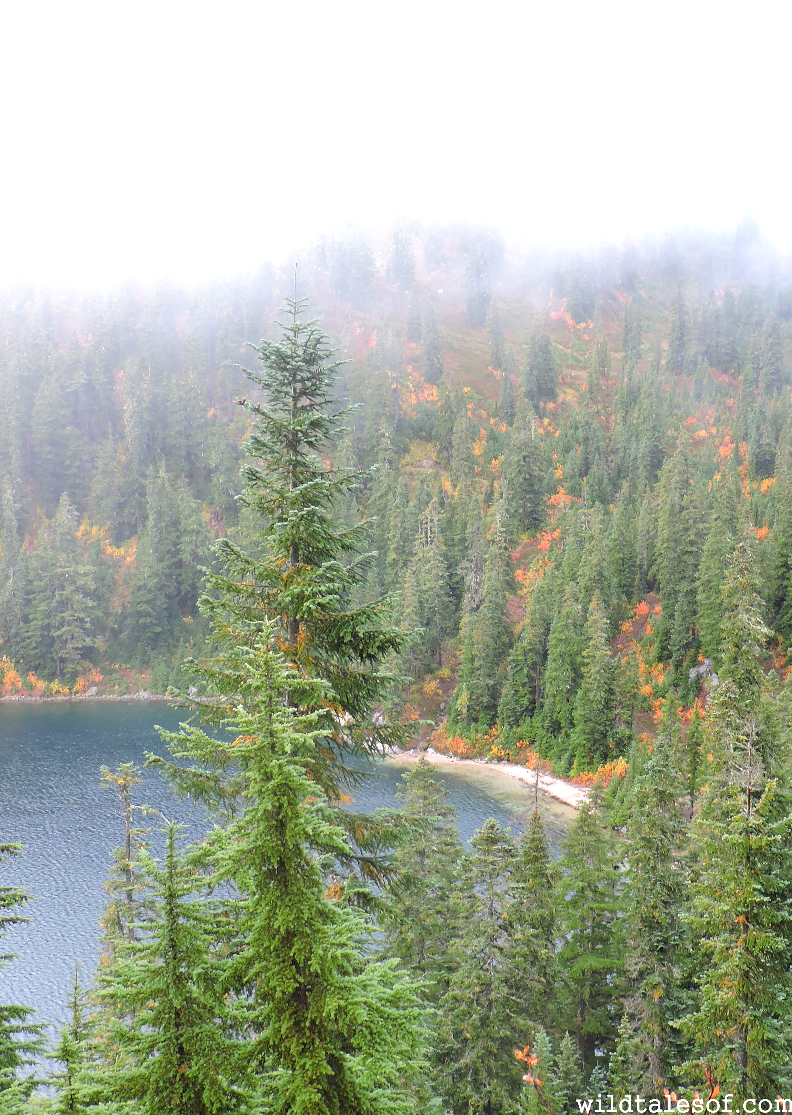 Hiking without Kids Lake Valhalla near Stevens Pass, WA