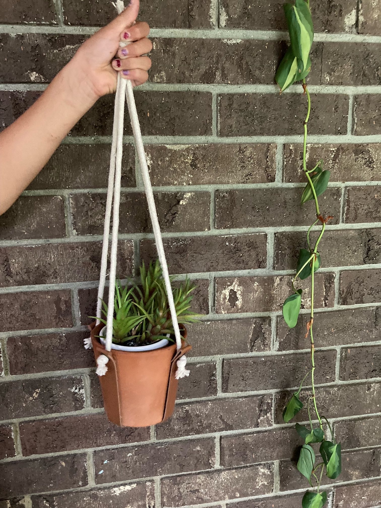 Minimalist Leather Plant Hanger Wild Things Adventures