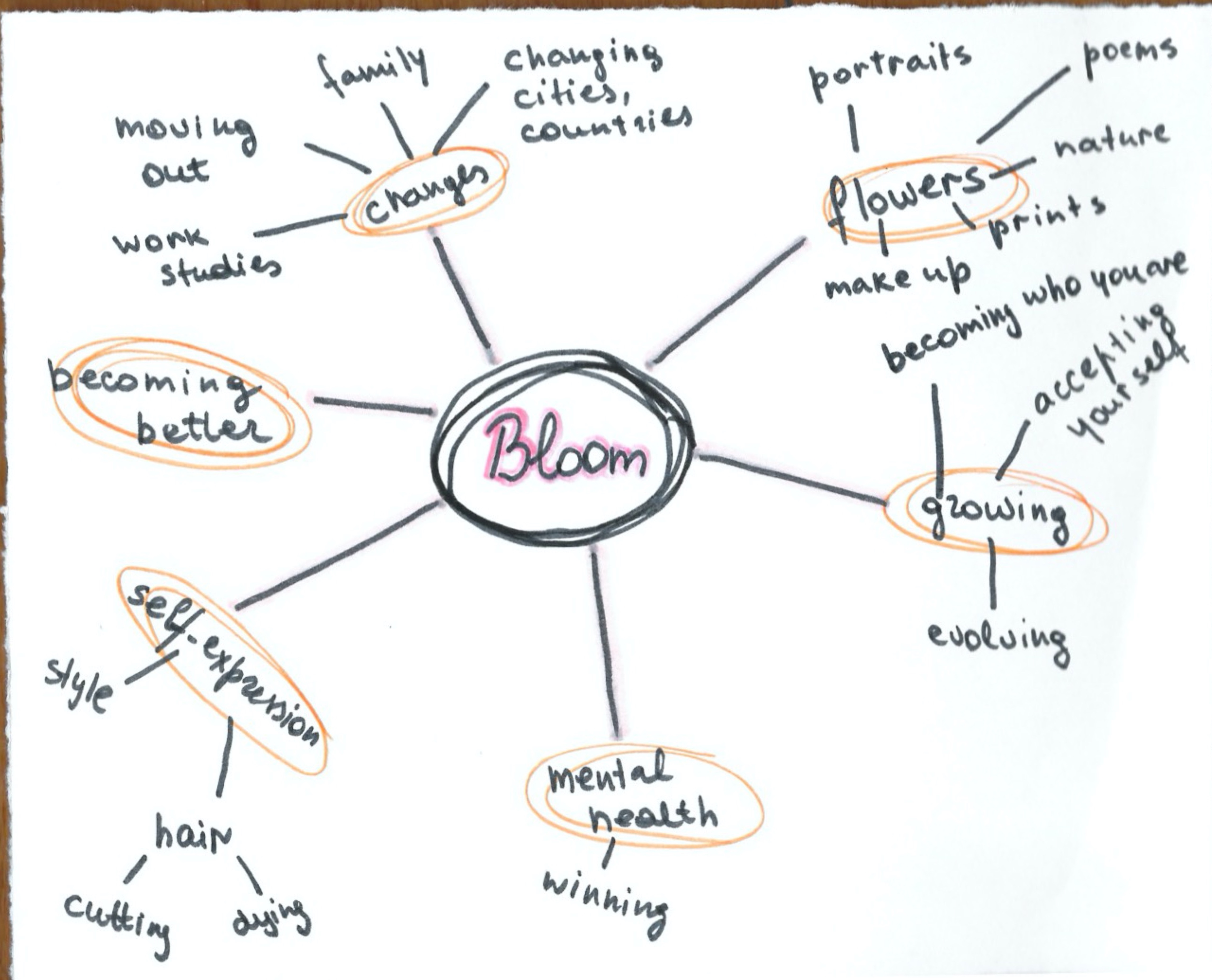 Everything you need to know about BLOOM Wild Things Zine