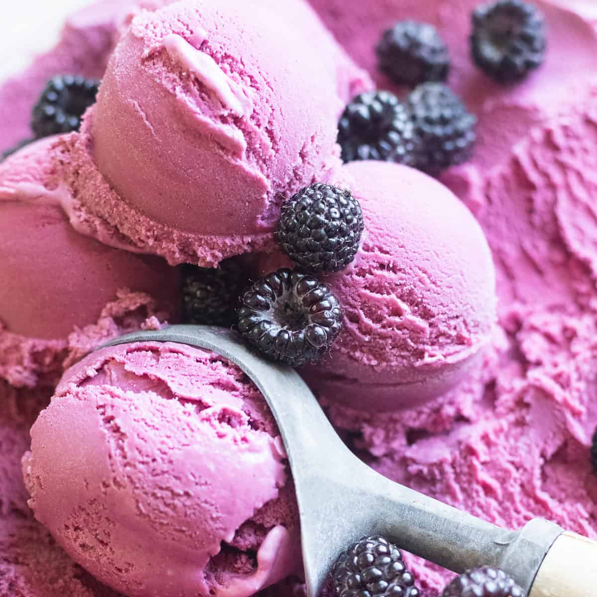 Black Raspberry Ice Cream wild thistle kitchen