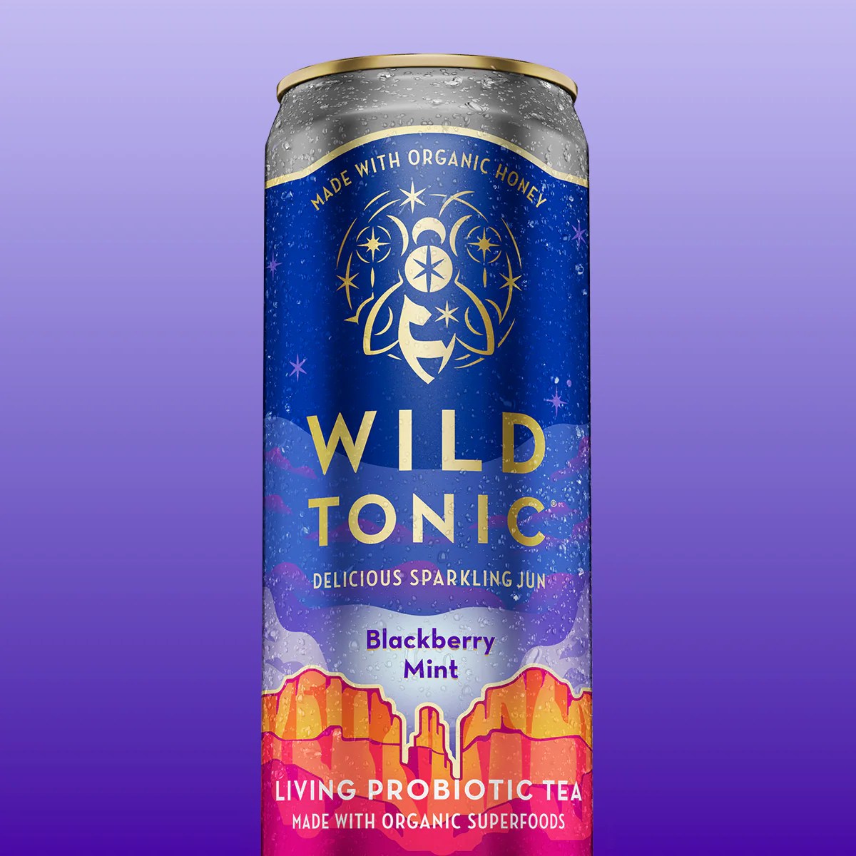 Blackberry Mint 6Pack WILD TONIC