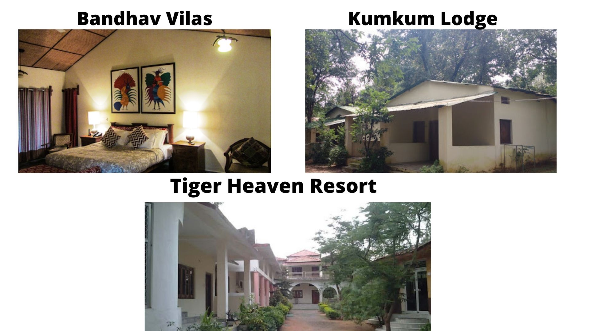 Best Budget Resorts In Bandhavgarh National Park Best Resorts In