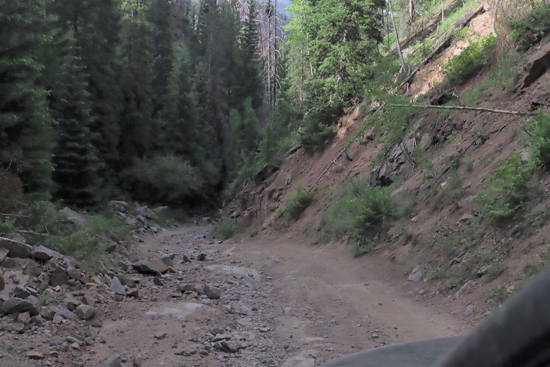4wd road Wild Wanderer
