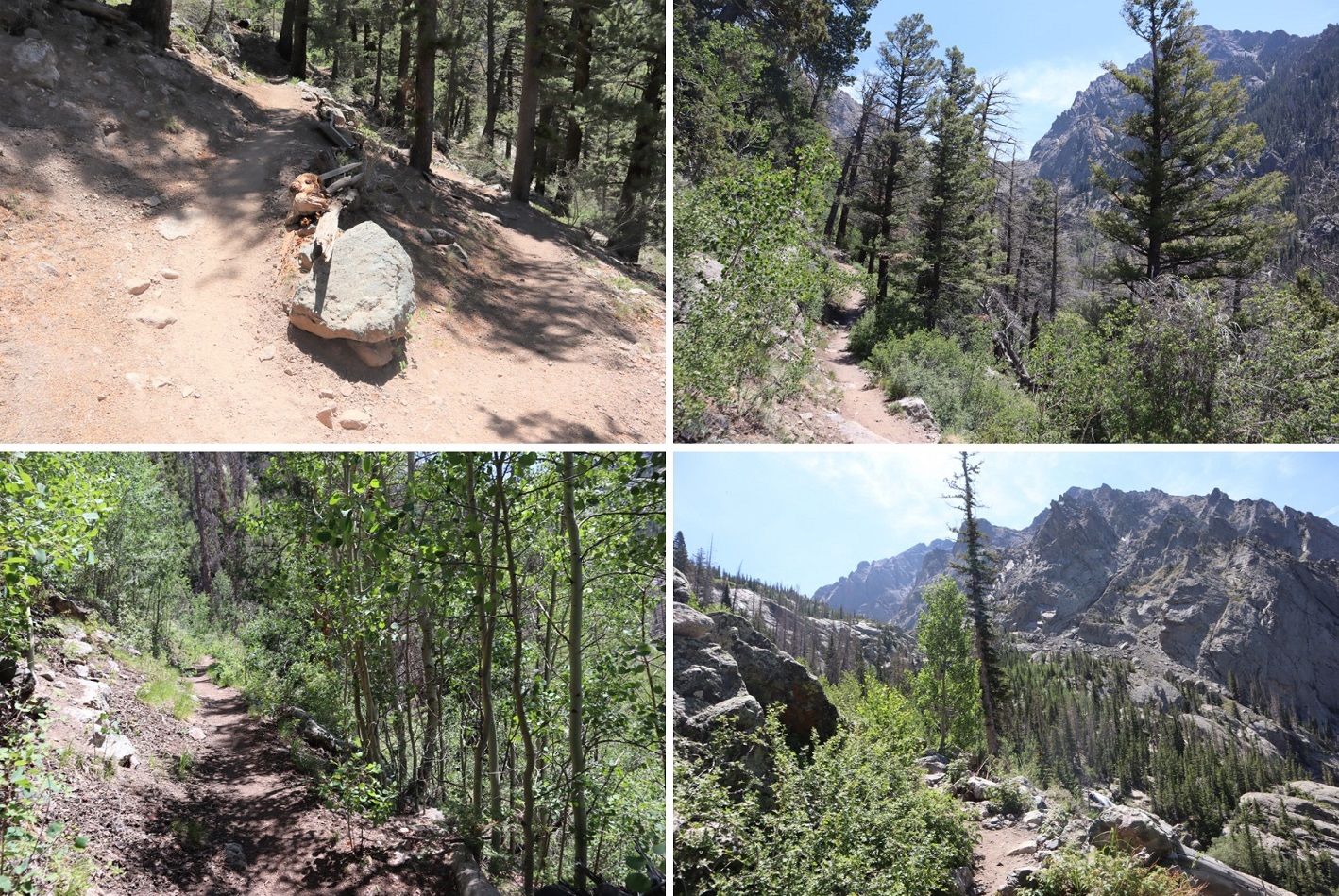 willow creek trail Wild Wanderer