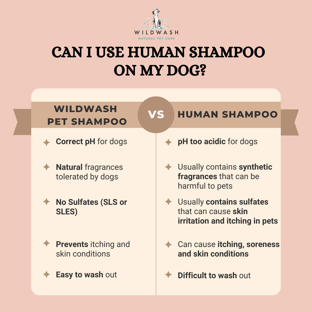 Can I Use Human Shampoo On My Dog? Blog WildWash Organic London