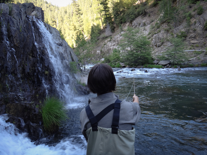 McCloud River Dry Fly Fishing 05.30.12 Wild Waters Fly Fishing