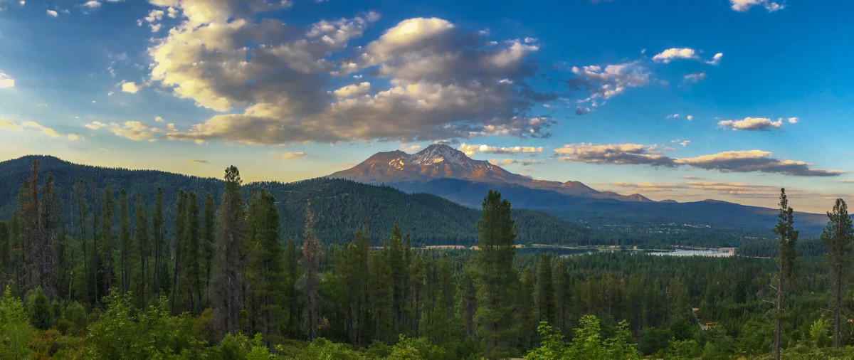 Guide life in Mt. Shasta summer 2016 Wild Waters Fly Fishing