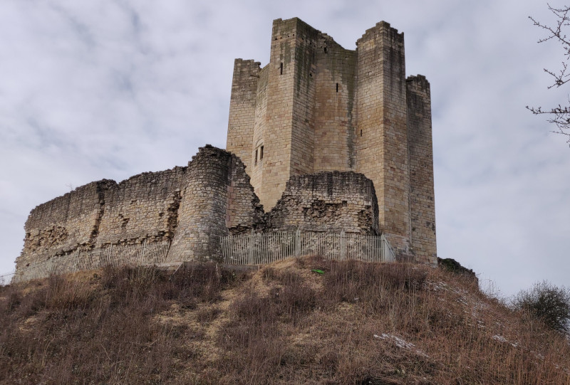 Exploring Don Conisbrough Castle and Edlington WildWays