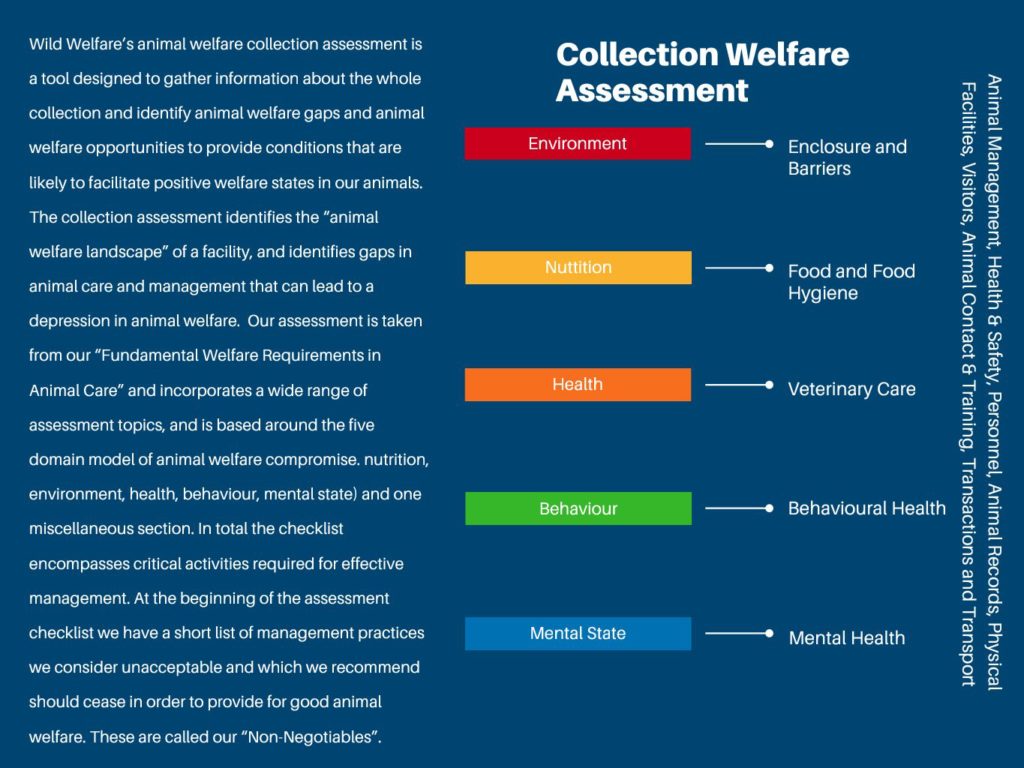 Animal Welfare Assessments Wild Welfare