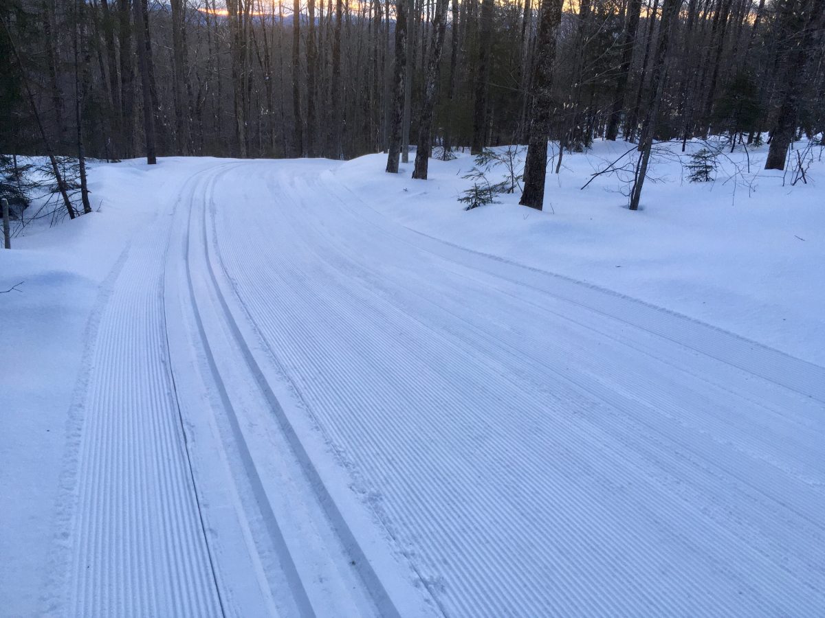 Another Great Ski Day! Wild Wings Nordic Skiing