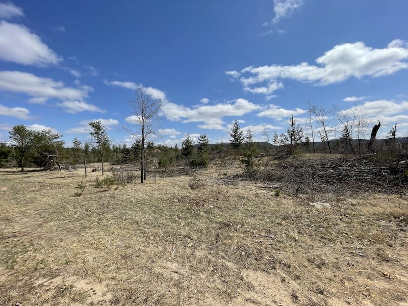 Three 2+ Acre Commercial Lots in Muscoda Industrial Park! Wilkinson