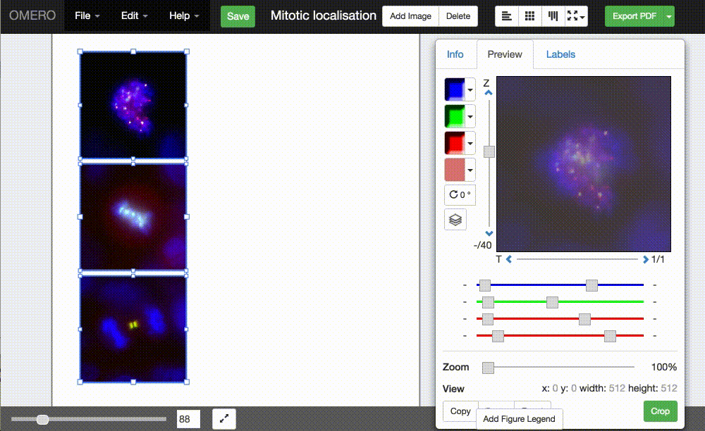 Creating gifs Will Moore  Developer working on OMERO