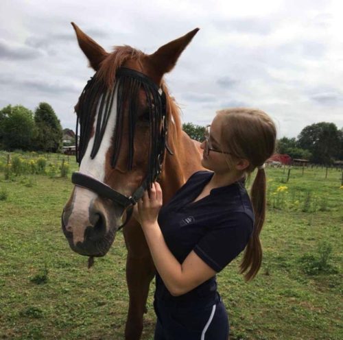 Reitbeteiligung diese Reiter suchen ein Pferd zur Beteiligung willreiten.de