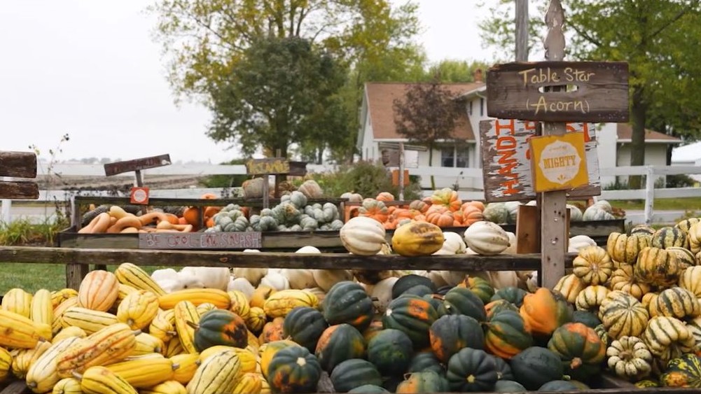 Save your pumpkin from the landfill and compost with SIU and U of I