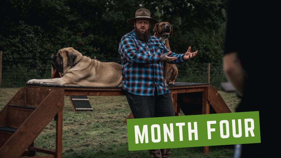 Advanced Dog Trainer Course Landing WA Academy